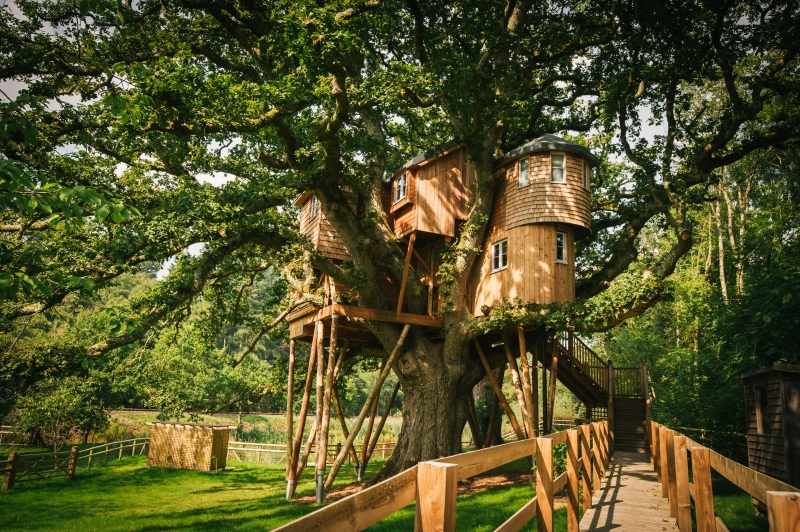 treetops-treehouse-at-fox-and-hounds-hotel-treehouses-devon