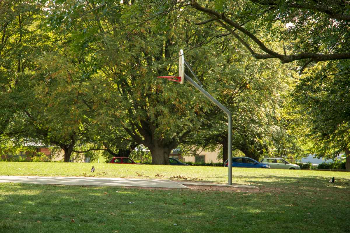 basketball-hoop-in-alexandra-park