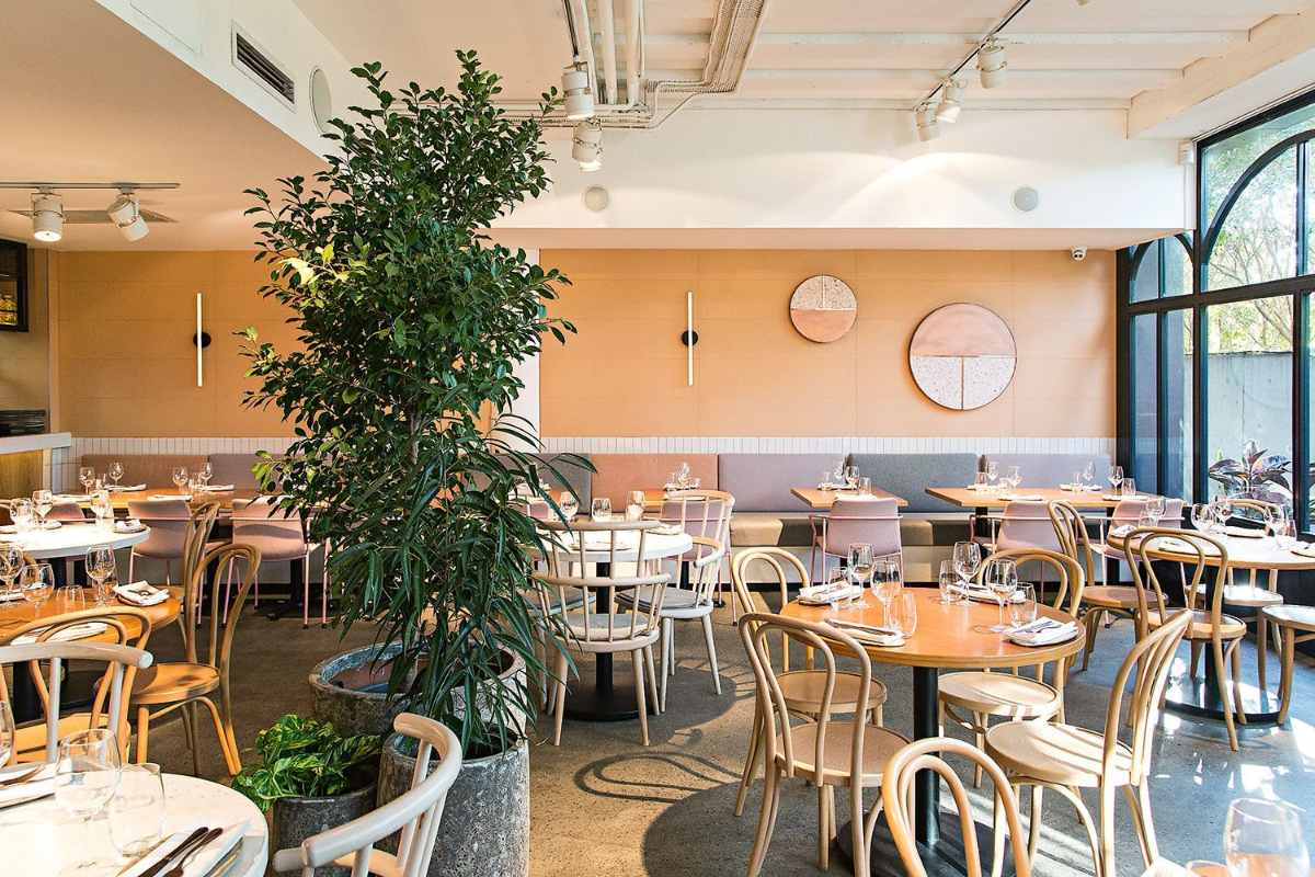 interior-of-nour-restaurant-in-surry-hills-bottomless-brunch-sydney