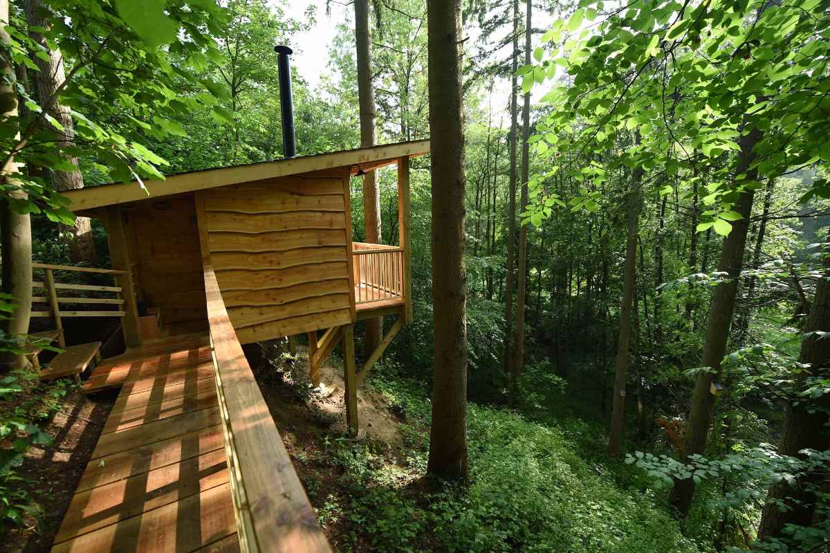 redwood-valley-treetop-cabin-treehouses-wales