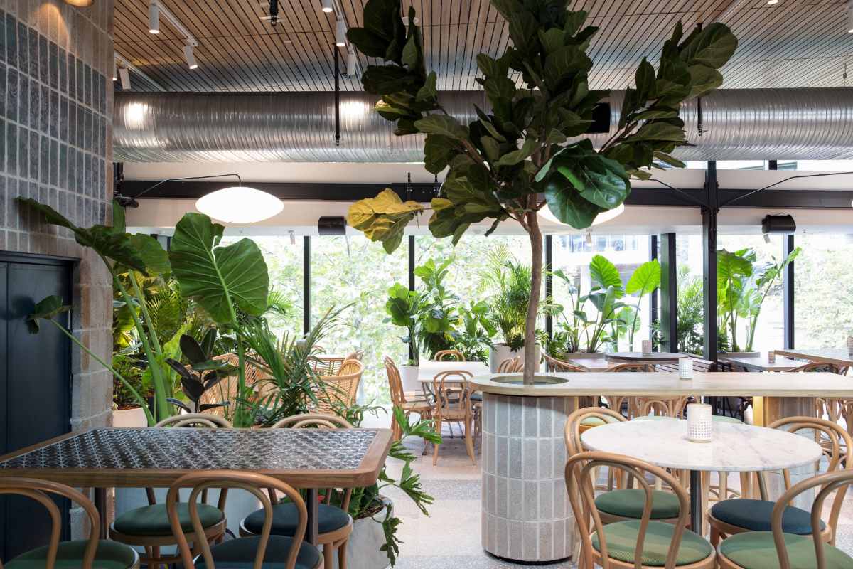 tables-and-plants-inside-the-green-moustache