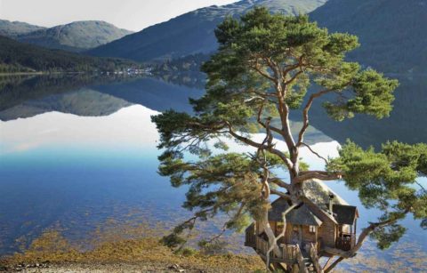 the-treehouse-at-the-lodge-on-loch-goile-treehouses-scotland