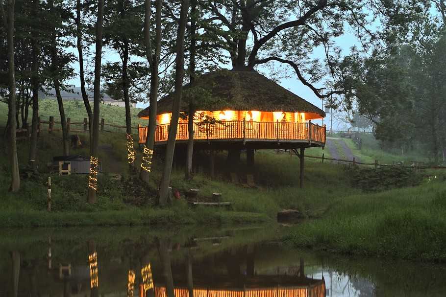 treeopia-treehouse-by-pond-lit-up-at-night