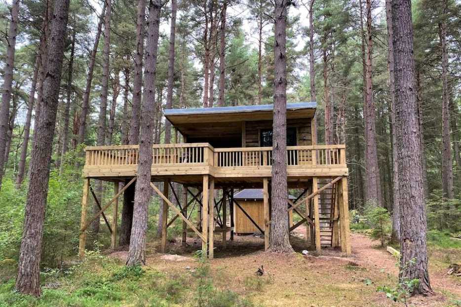 treetops-tree-house-in-forest