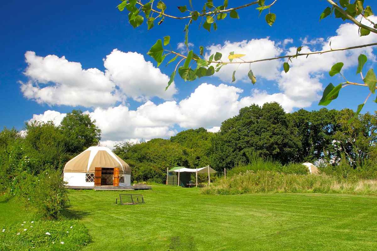 bloomfield-camping-yurt-in-field-on-sunny-day