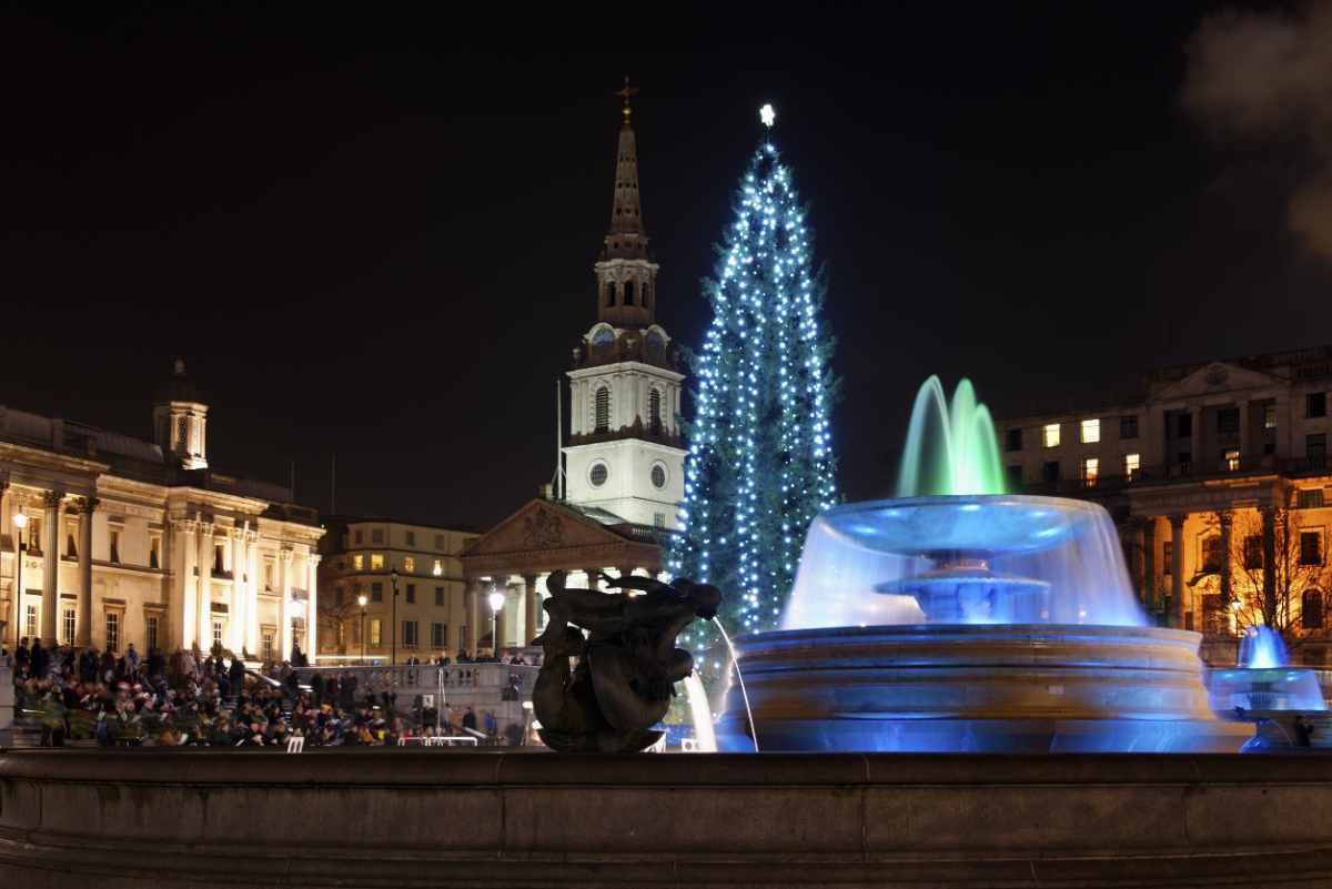 christmas-tree-in-trafalgar-square-at-night