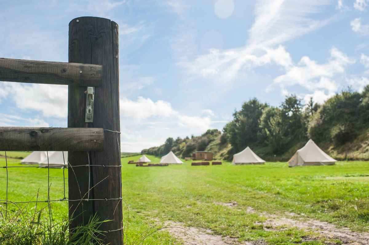 dorset-farm-camping-bell-tents-in-field-at-dewflock-farm