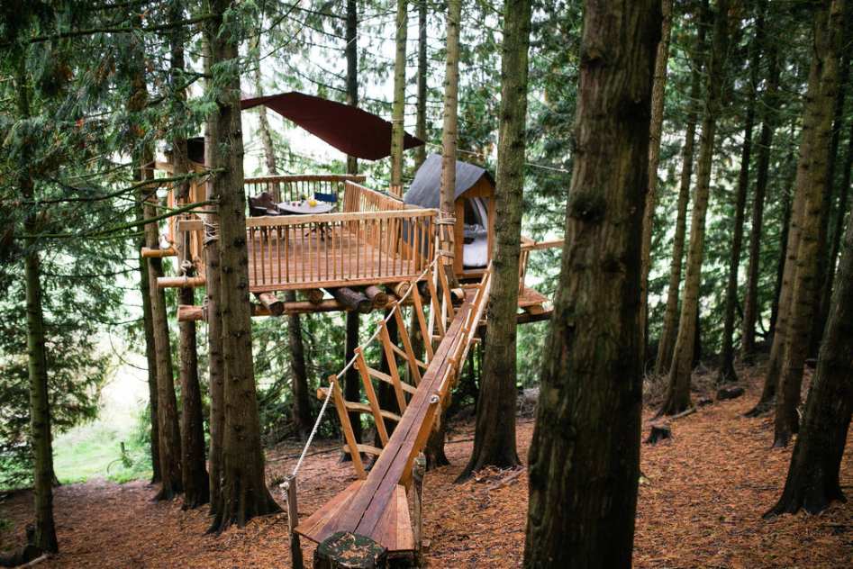 exterior-of-puckshipton-treehouse-surrounded-by-trees-glamping-wiltshire