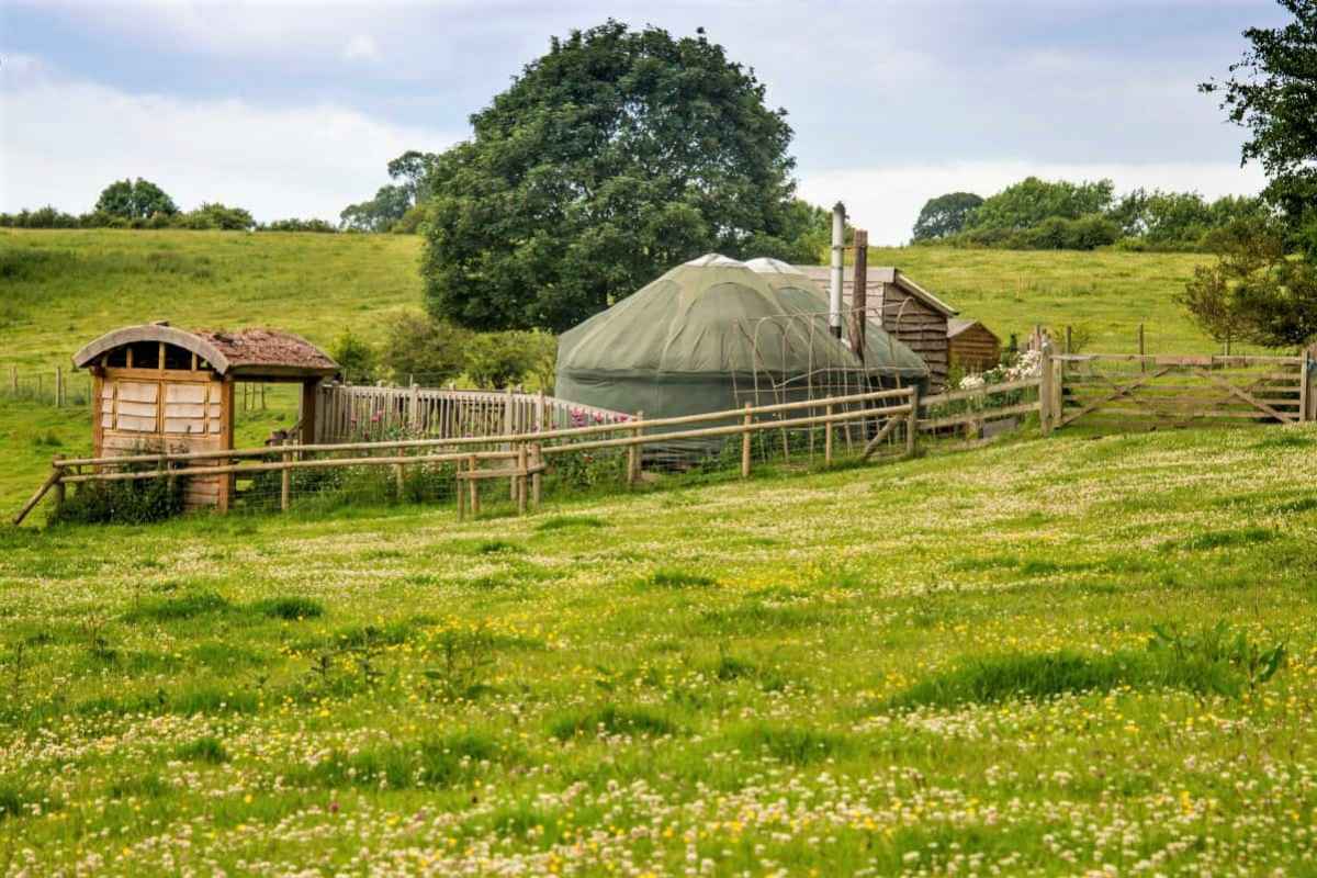 fordhall-farm-yurt-in-field-by-trees