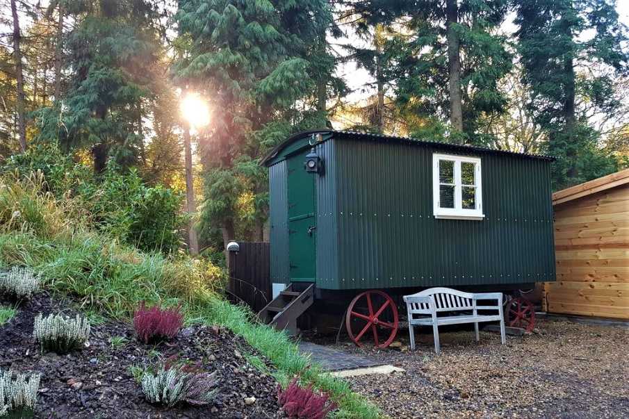 green-shepherds-hut-on-edge-of-forest-at-sunset