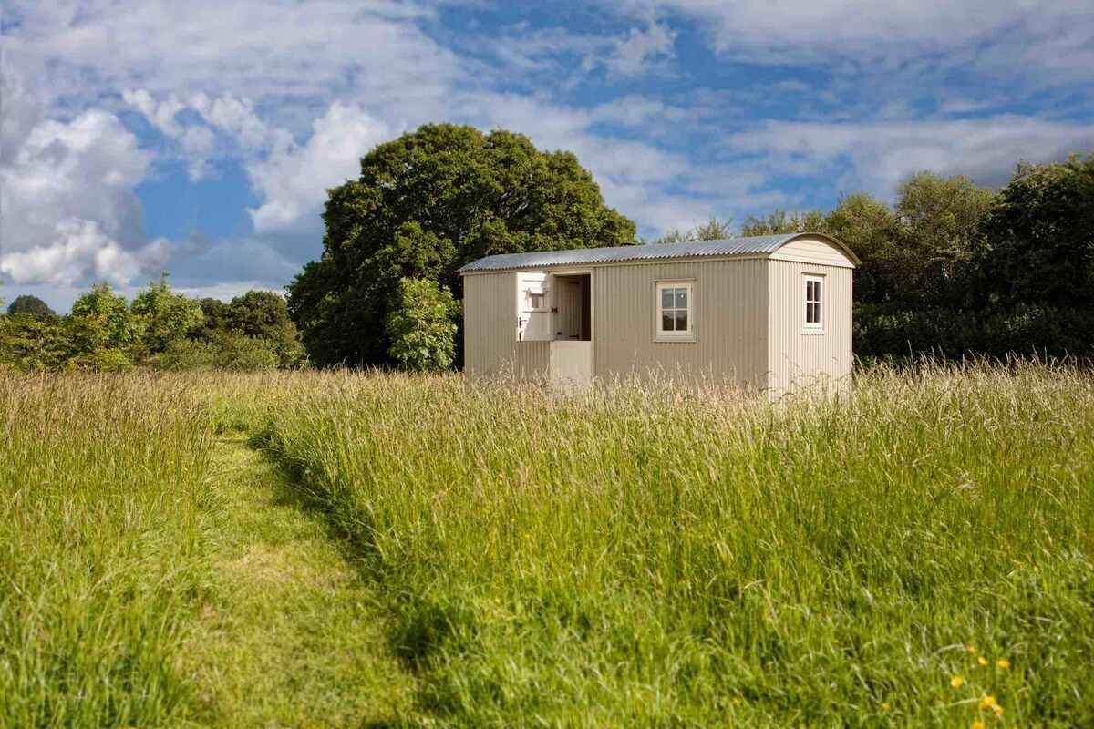 hares-rest-shepherds-hut-in-grassy-field-glamping-wiltshire