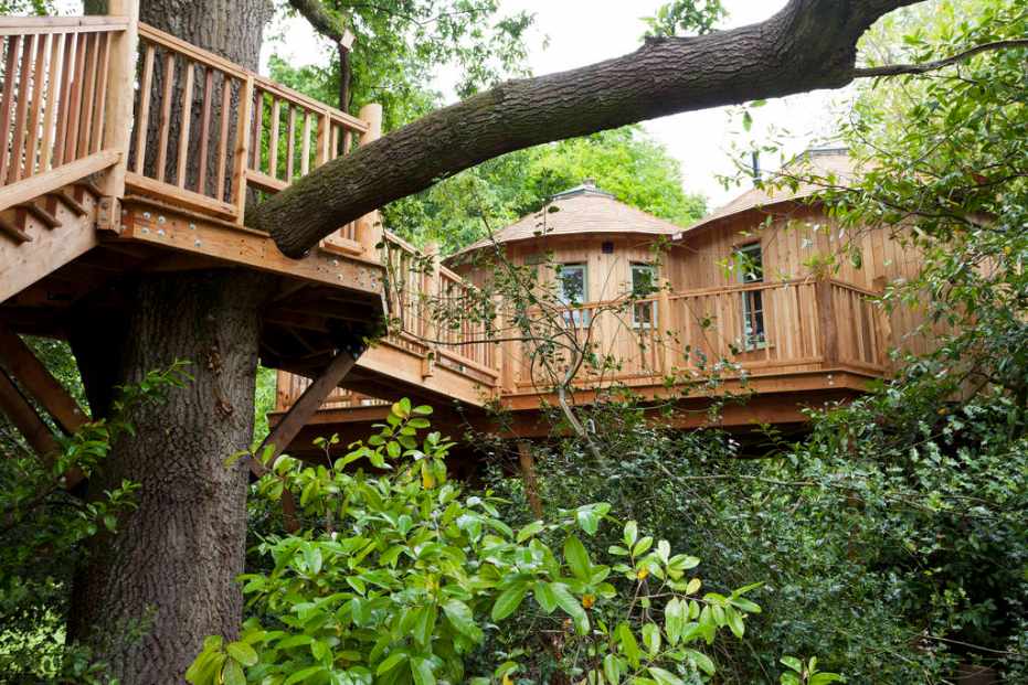 harptree-treehouse-surrounded-by-trees