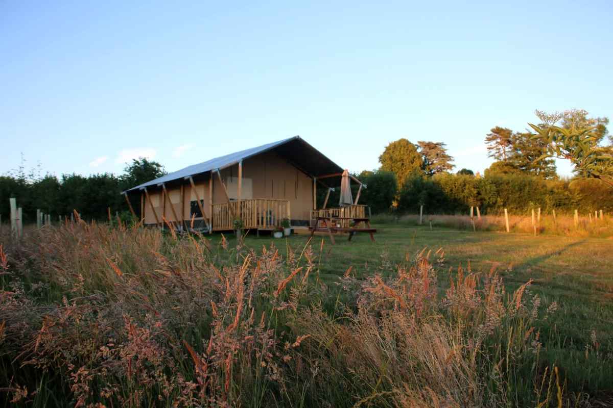 jurassic-glamping-safari-tent-at-the-red-house-farm-at-sunset