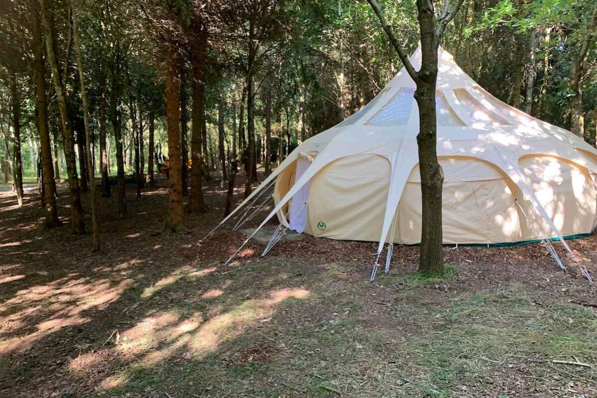 large-woodland-bell-tent-in-woodland-in-daytime