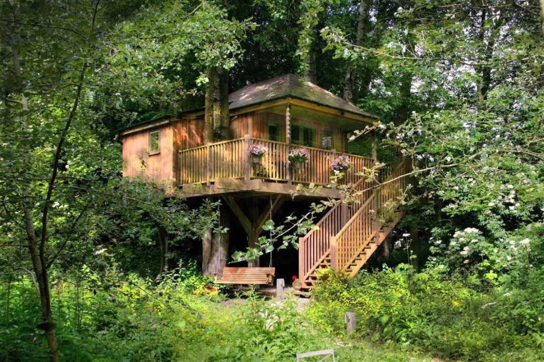 old-mill-treehouse-surrounded-by-trees