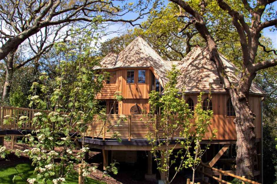 shorefield-silvertree-house-treehouses-new-forest