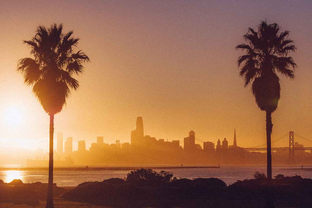silhouette-of-city-skyline-at-sunset-with-palm-trees-in-foreground