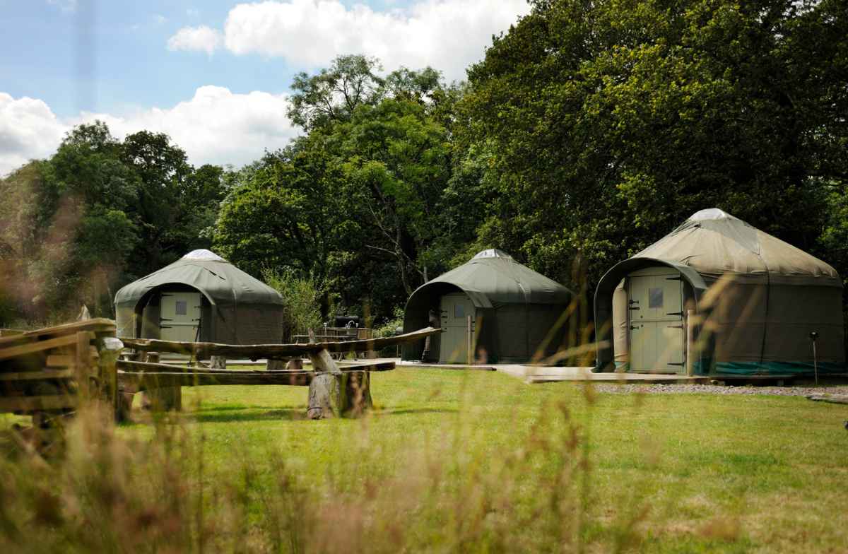 stock-gaylard-glamping-yurts-in-field-in-daytime