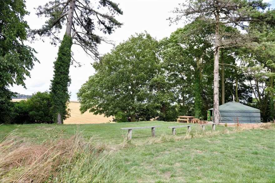 stonehenge-yurt-with-picnic-table-in-field-surrounded-by-trees