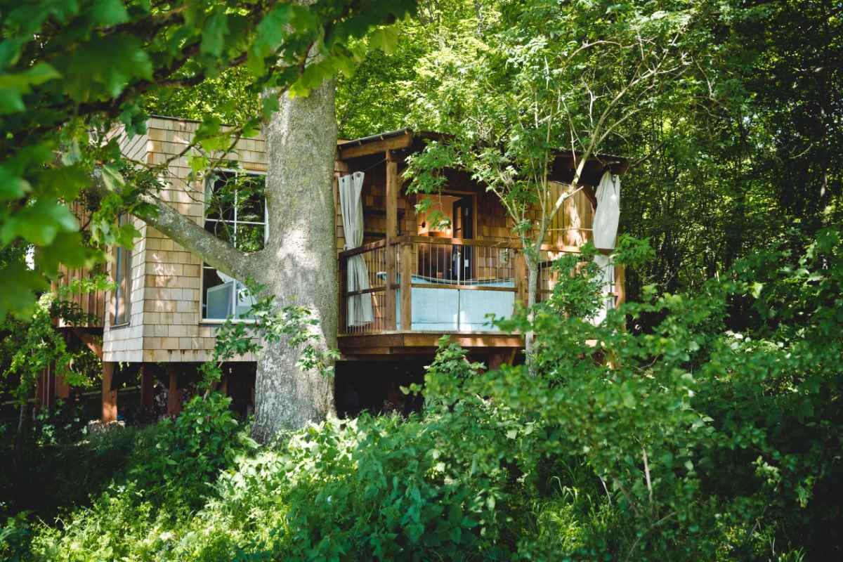 the-fallow-treehouse-at-wild-escapes-treehouses-new-forest