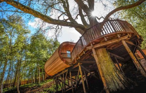 the-fish-hotel-treehouse-surrounded-by-trees-treehouses-cotswolds