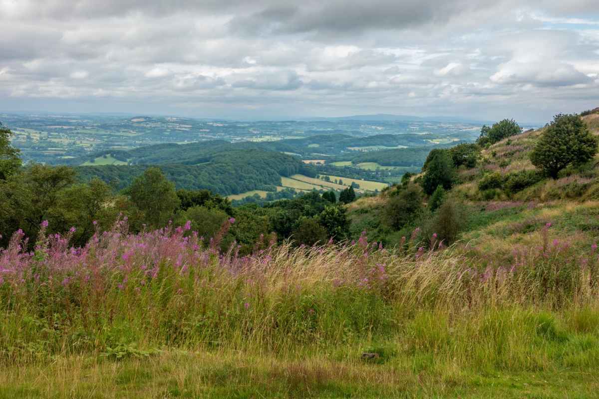 view-from-the-malvern-hills-days-out-worcestershire
