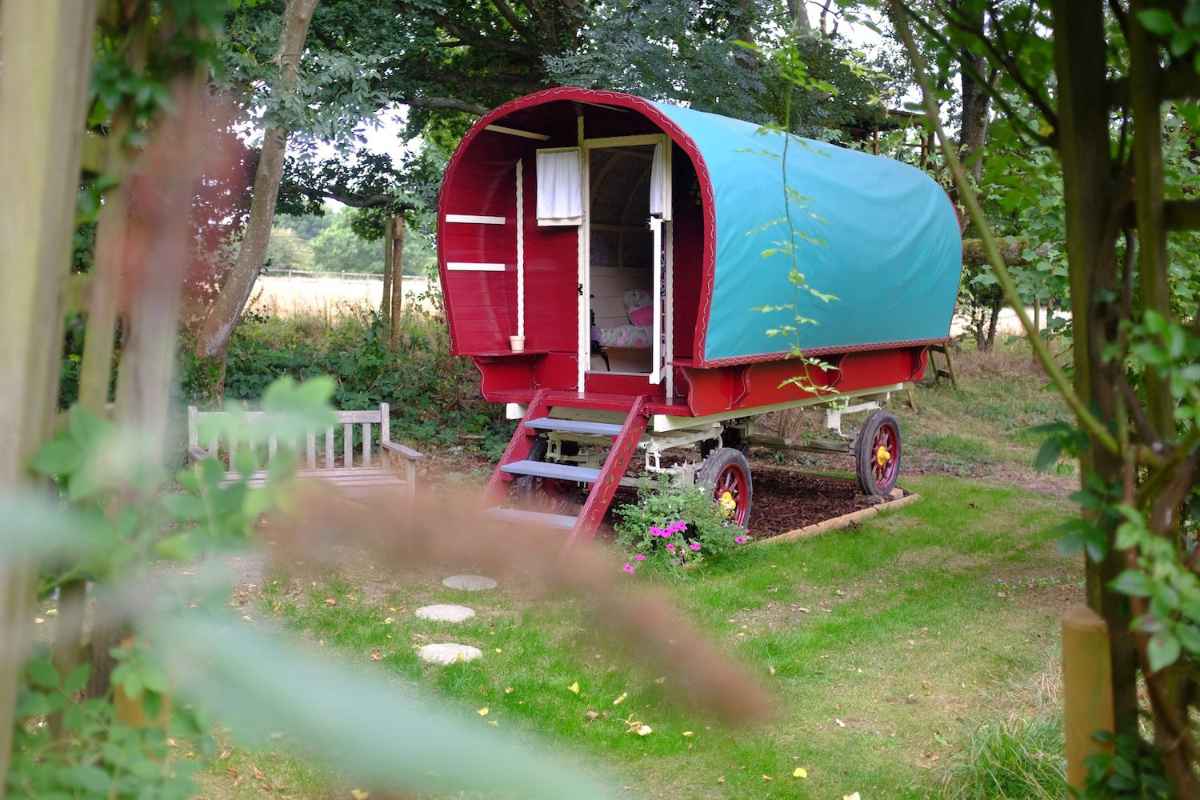 gypsy-wagon-in-field-at-fernwood-glamping