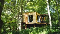 wild-escapes-treehouses-in-forest-glamping-hampshire