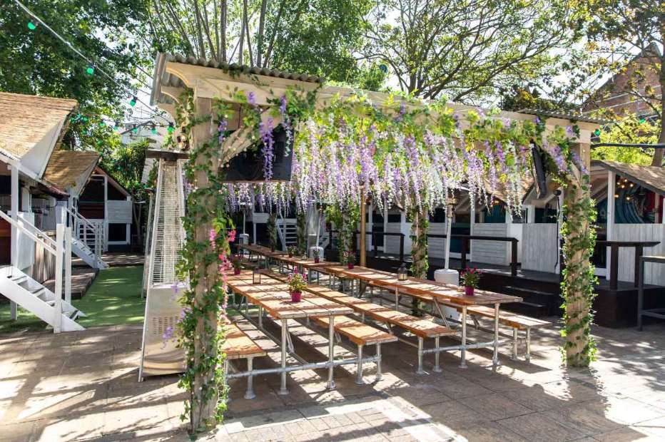 wisteria-in-hope-and-anchor-beer-garden-on-sunny-day