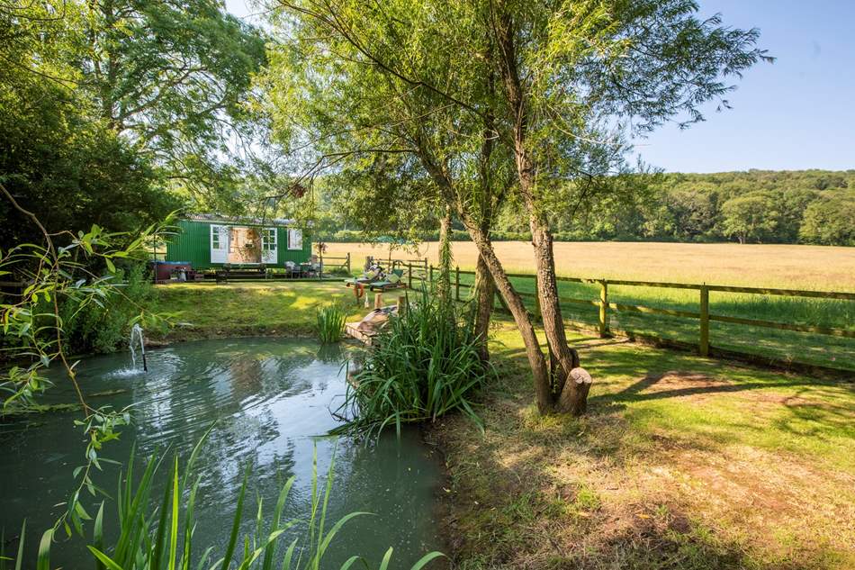 pond-in-front-of-ladys-well-shepherds-hut