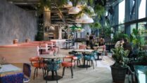 interior-of-bondi-green-cafe-bottomless-brunch-paddington