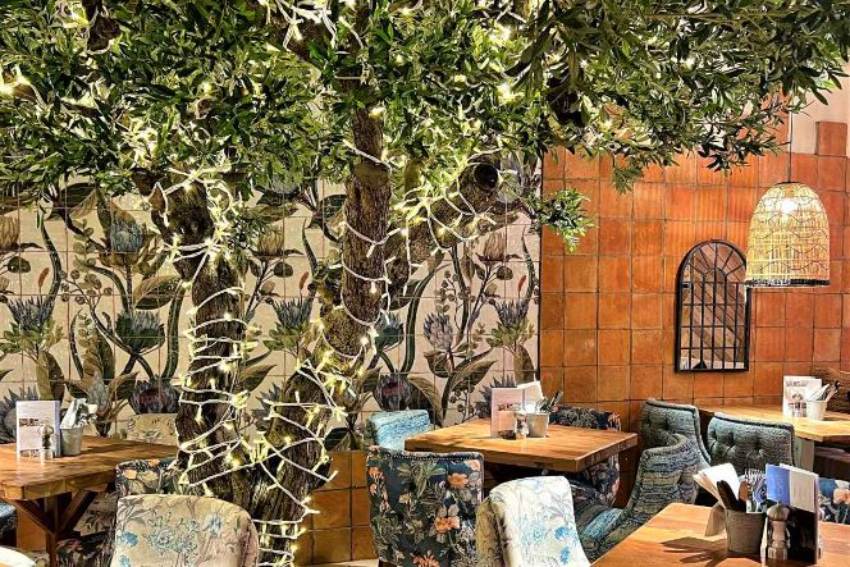 tree-and-tables-inside-megans-at-the-lordship-restaurant