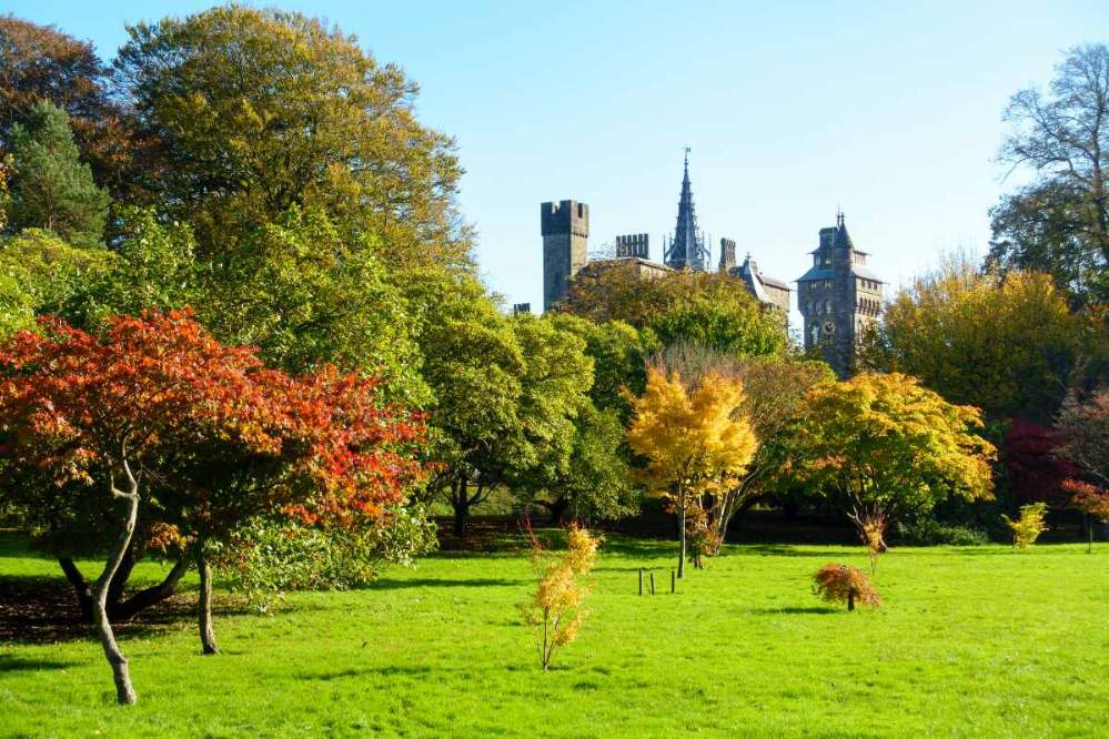 bute-park-in-autumn-with-cardiff-castle-in-background