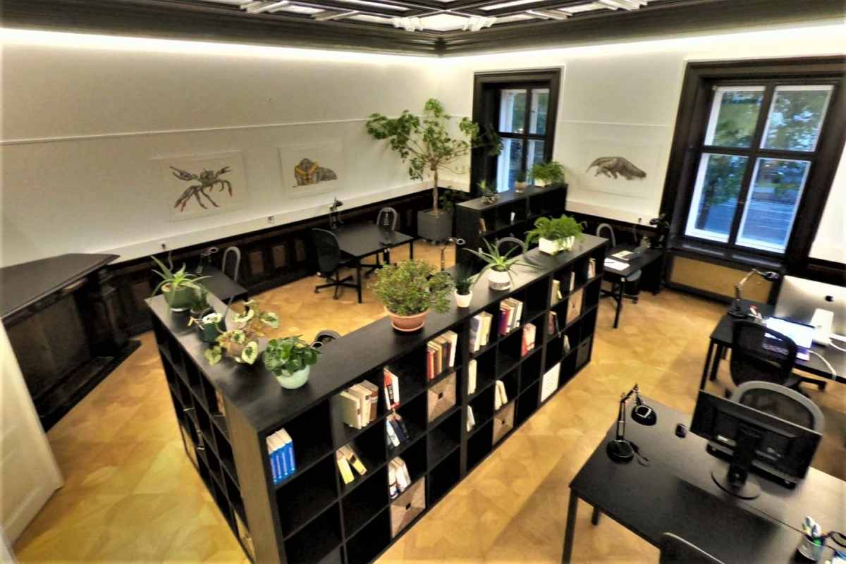 desks-and-office-chairs-inside-am-burggarten-workspace