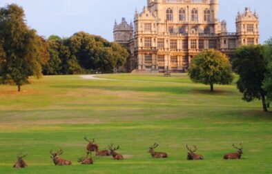exterior-of-wollaton-hall-and-deer-park-in-the-daytime