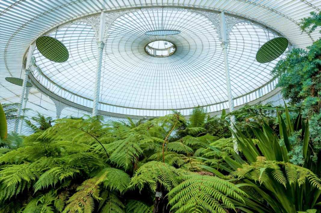 inside-the-kibble-palace-greenhouse-in-daytime
