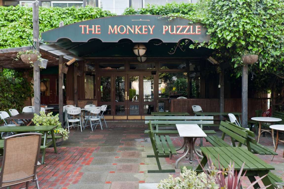 exterior-of-the-monkey-puzzle-in-the-daytime-gluten-free-pizza-london