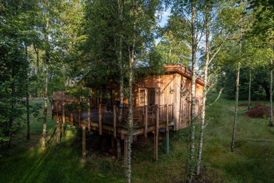 exterior-of-pipit-treehouse-in-the-daytime-glamping-loch-lomond