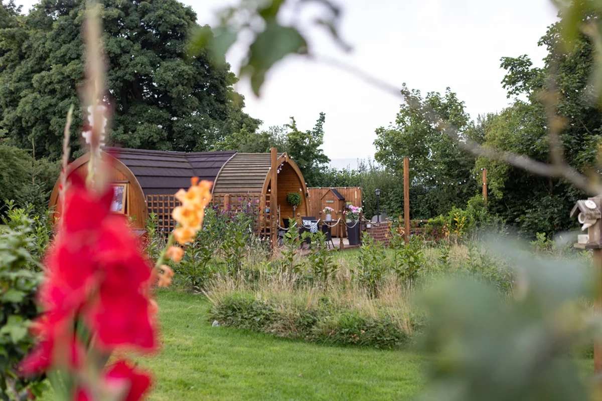 pod-set-amidst-gardens-at-hedgerow-luxury-glamping-in-the-daytime