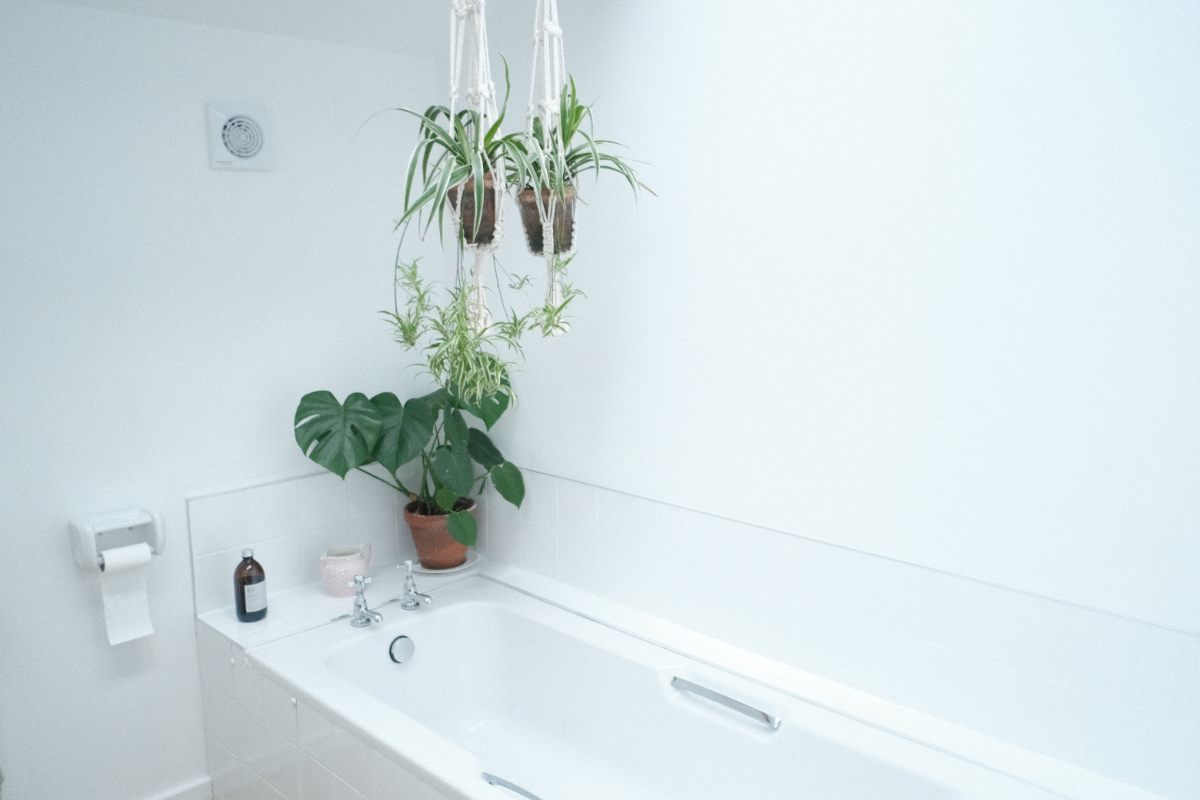 white-bathroom-with-bathtub-and-hanging-greenery